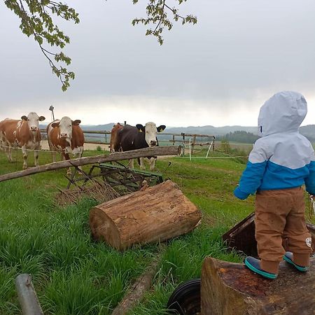 Ferienwohnung Im Muehlviertler Panorama Vierseithof Lembach im Mühlkreis Exteriér fotografie