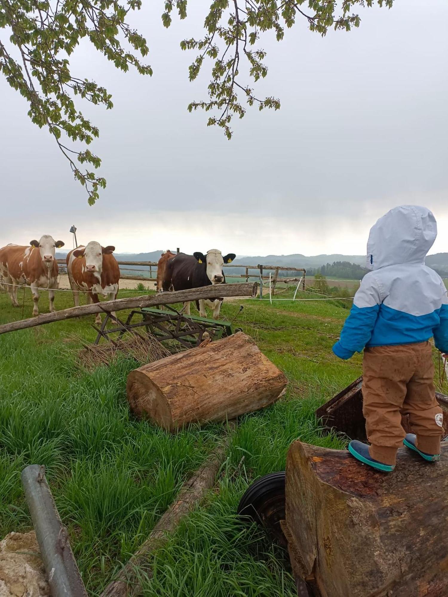 Ferienwohnung Im Muehlviertler Panorama Vierseithof Lembach im Mühlkreis Exteriér fotografie