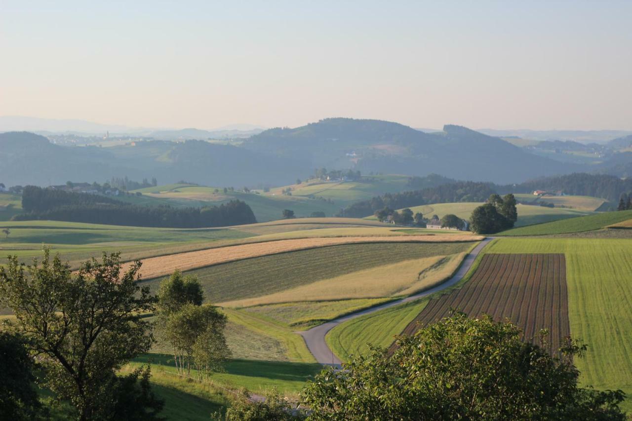 Ferienwohnung Im Muehlviertler Panorama Vierseithof Lembach im Mühlkreis Exteriér fotografie